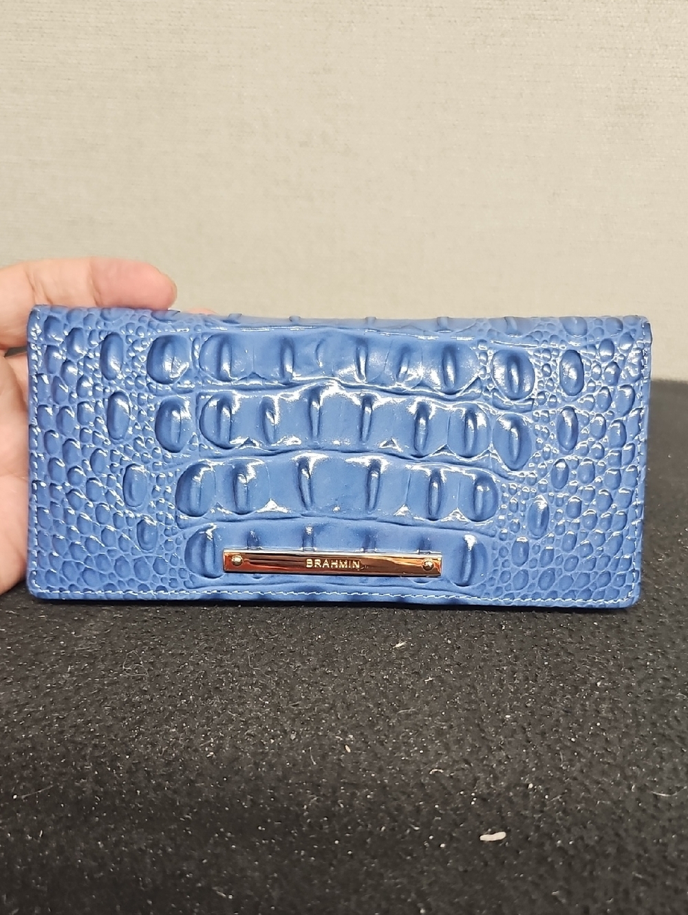 BRAHMIN SIDNEY SATCHEL AND MATCHING WALLET BFPM-05-140 - Picture 8 of 12